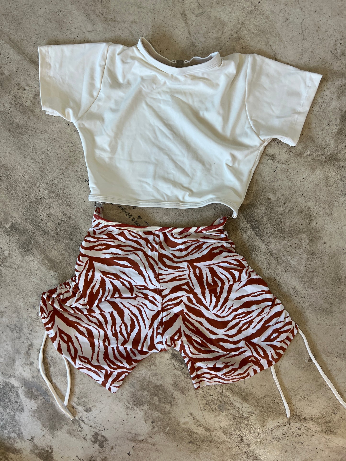 Enterito zebra orange